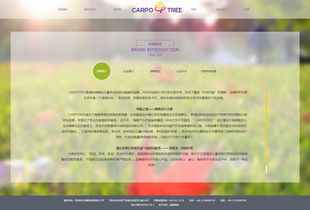 卡波樹童裝 品質(zhì)與創(chuàng)新并舉，助力外貿(mào)銷售新高度
