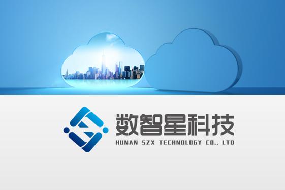 構(gòu)建智能互聯(lián)未來 信息化技術(shù)服務(wù)的多維賦能與發(fā)展路徑