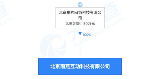 獵豹全資收購北京雨燕互動科技，加碼基礎軟件服務新賽道